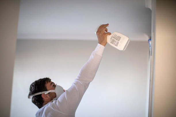 Best Affordable Mold Removal  in Bangor, ME