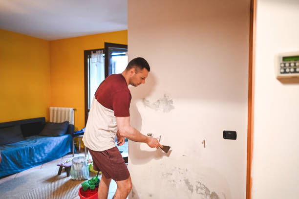 Best Toxic Mold Removal  in Bangor, ME